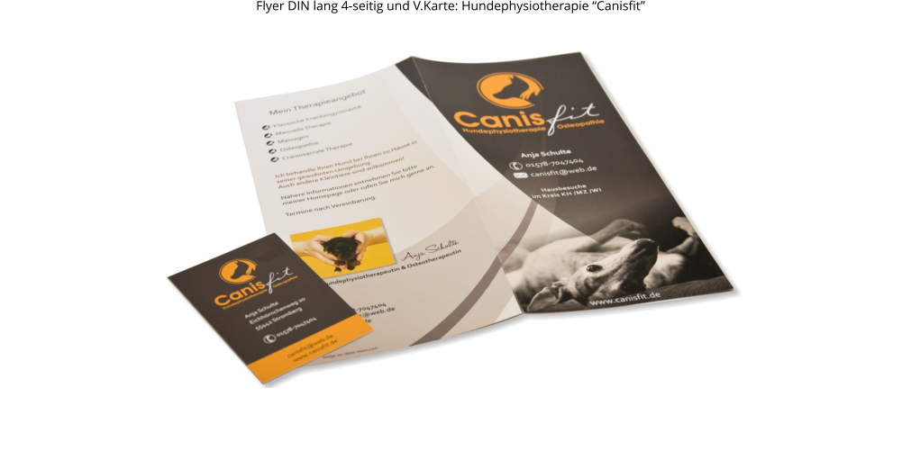 Flyer DIN lang 4-seitig und V.Karte: Hundephysiotherapie “Canisfit”