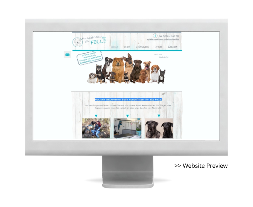 >> Website Preview