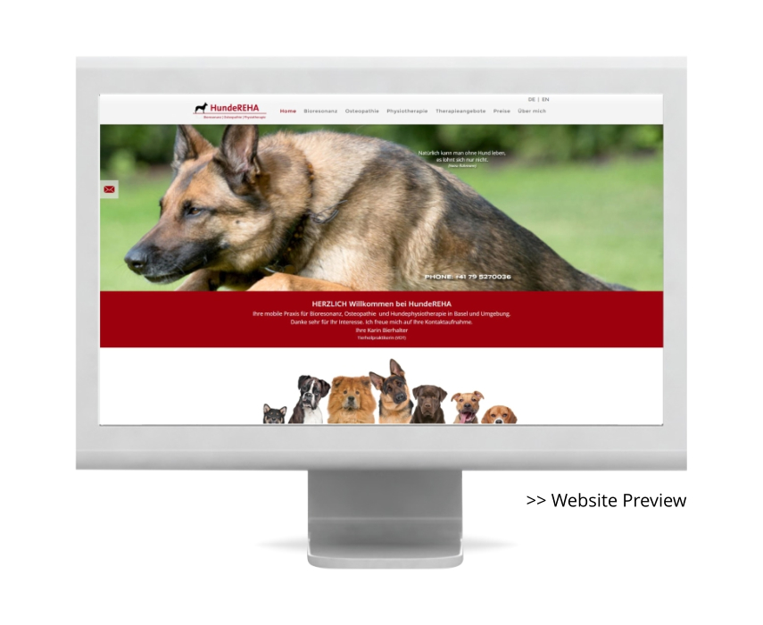 >> Website Preview