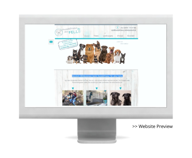 >> Website Preview